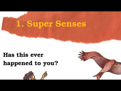 The 5 Senses - Class 5 - Quizizz