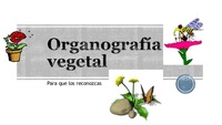 biologia vegetal - Série 9 - Questionário