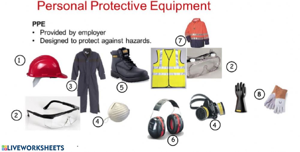 Protective Equipment | Quizizz