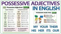 Singular Possessives Flashcards - Quizizz