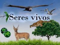 seres vivos y no vivos - Grado 4 - Quizizz