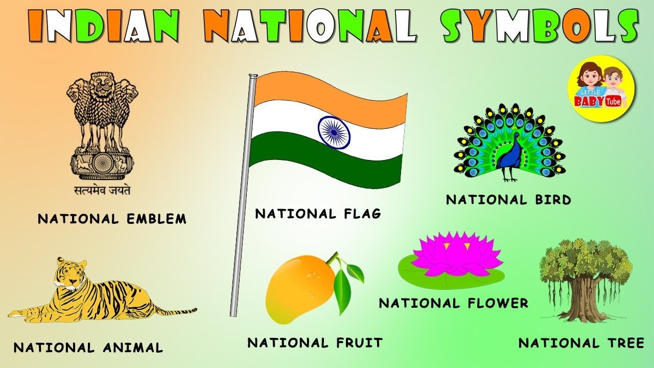 National Symbols of India CLASS 3 | Quizizz