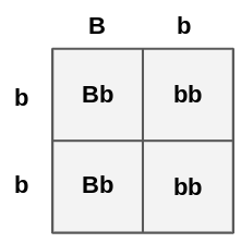 Punnett Square Review | Science - Quizizz