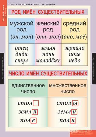 Род имен существительных. Родовые окончания имен существительных