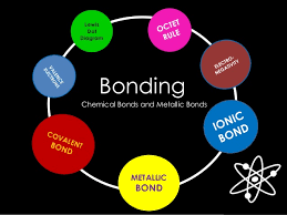 Unit 6 Chemical Bonding (test Review) | Quizizz