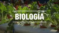 biologia vegetal - Série 12 - Questionário