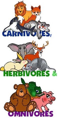Omnivores, Herbivores, Carnivores | Science Quiz - Quizizz