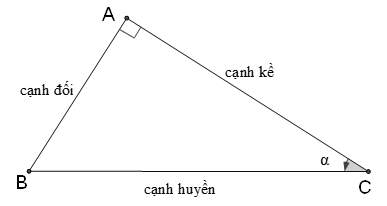 các tỉ số lượng giác sin cos tan csc sec và cot - Lớp 9 - Quizizz