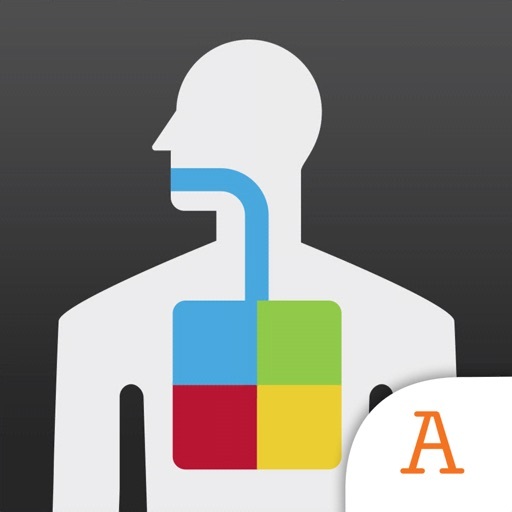 metabolism - Year 6 - Quizizz