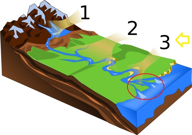 STAGES OF A RIVER 4º | 296 plays | Quizizz