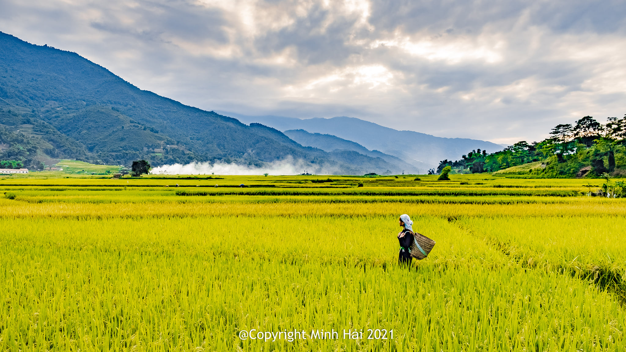 nguyên mẫu - Lớp 1 - Quizizz