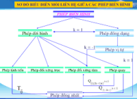 Đường đối xứng - Lớp 11 - Quizizz