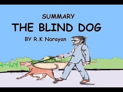 Blind hot sale dog story