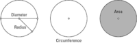 area and circumference of circles - Year 7 - Quizizz