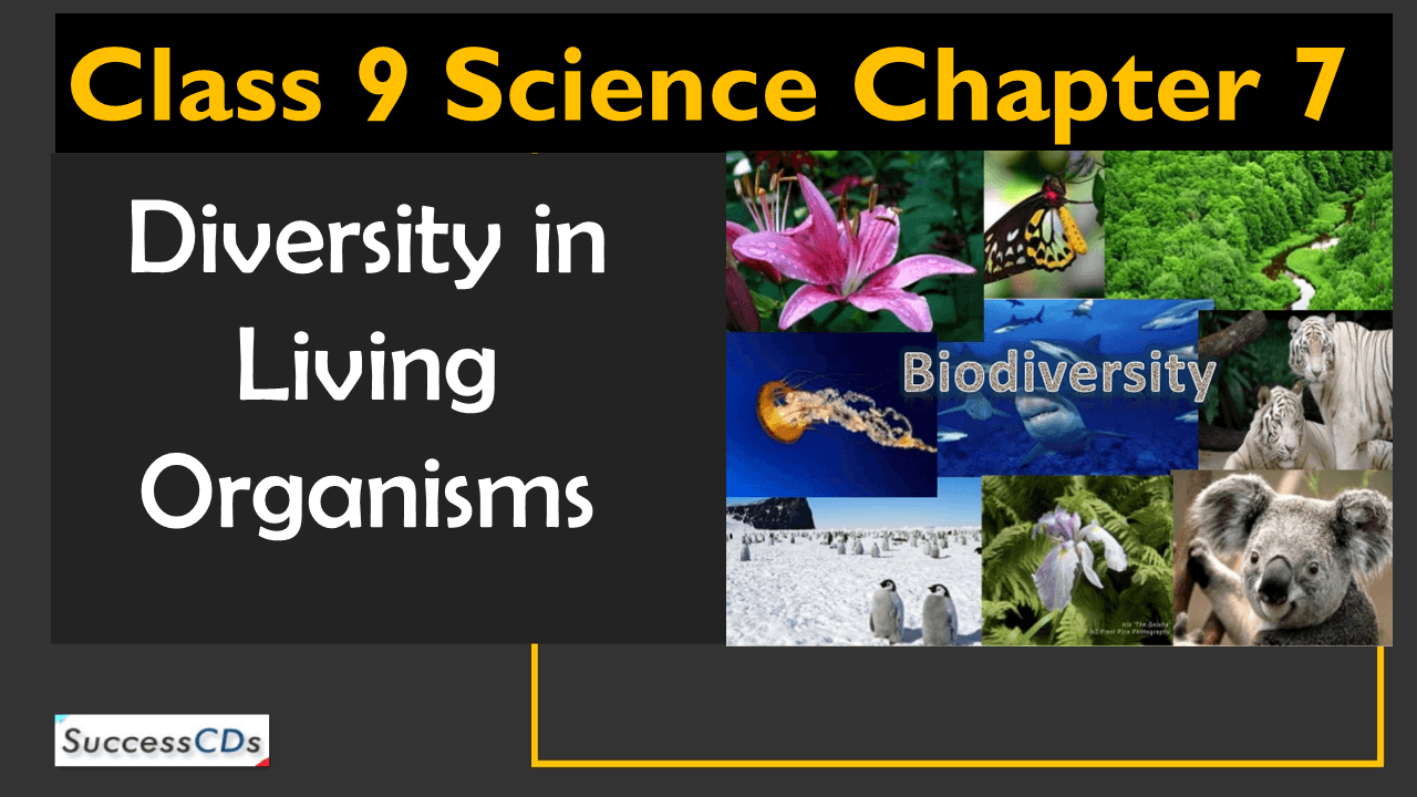 Diversity in living Organism | 62 plays | Quizizz