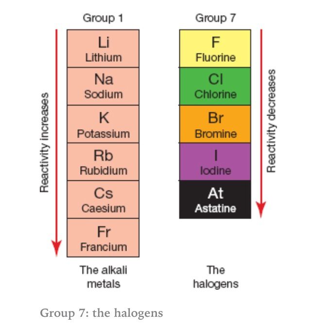 Alkali Metals And Halogens Chemistry Quizizz