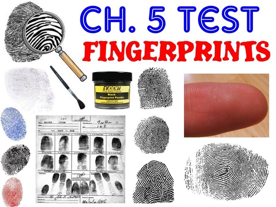 Ch 5 Fingerprint Test Quizizz