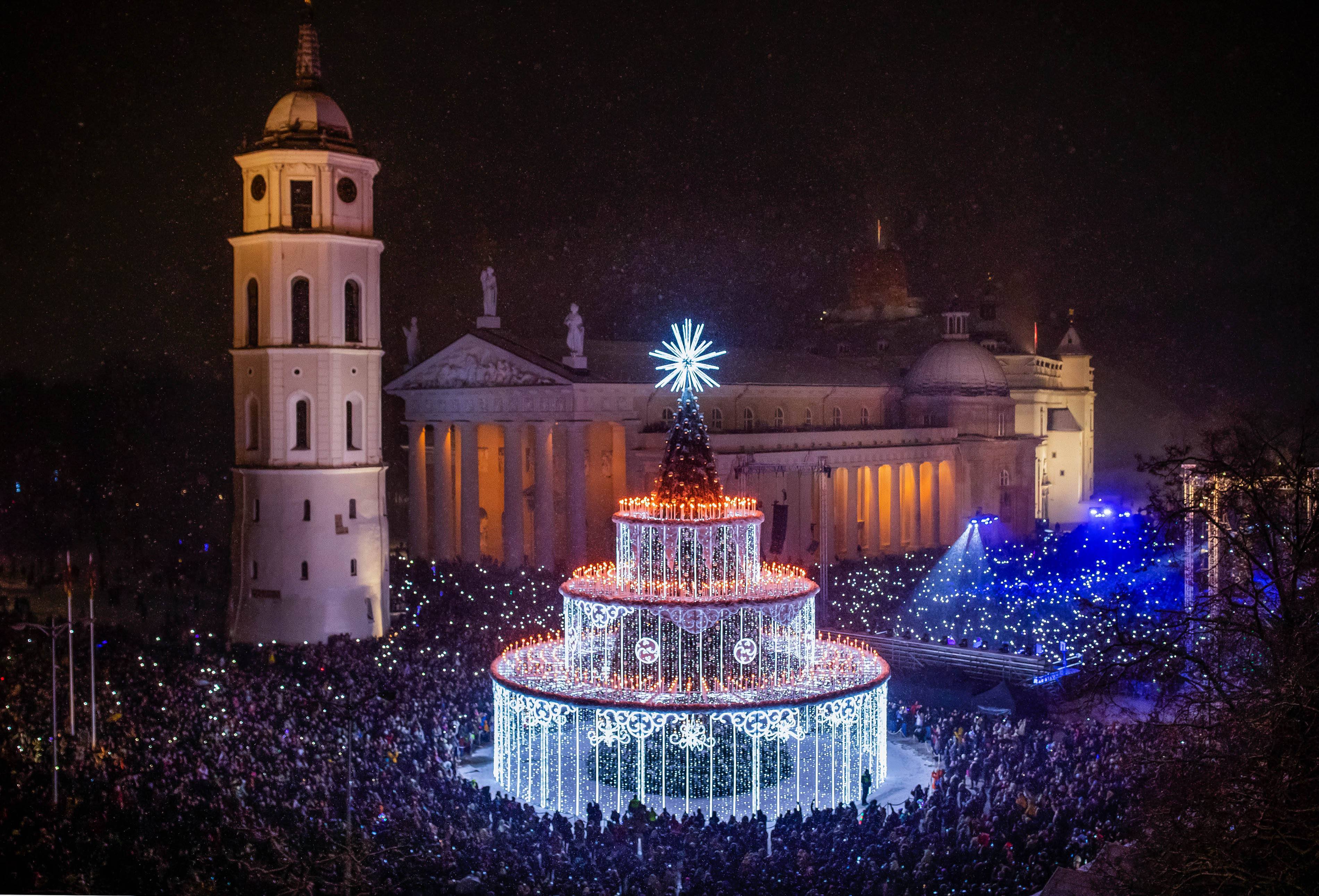 Kalėdų eglutės