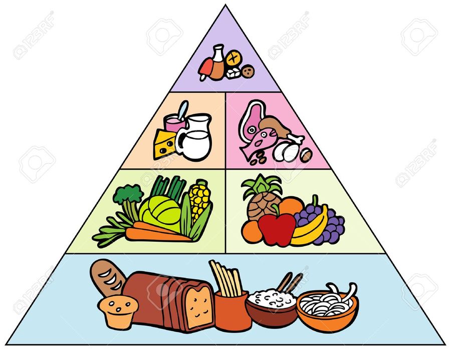 Food Pyramid Other Quizizz