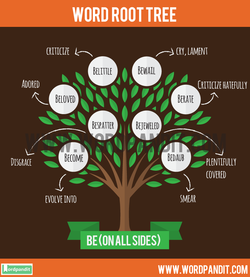 Root Words - Grade 9 - Quizizz