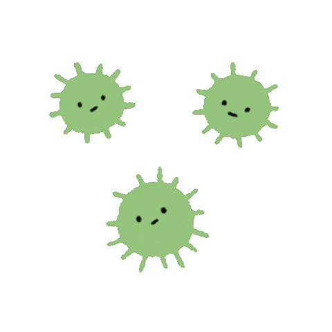 bacterias y arqueas Tarjetas didácticas - Quizizz