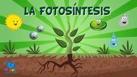 fotosintesis - Kelas 6 - Kuis