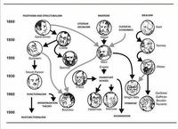 Sosiologi - Kelas 3 - Kuis