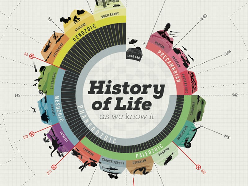 history of life on earth - Grade 9 - Quizizz