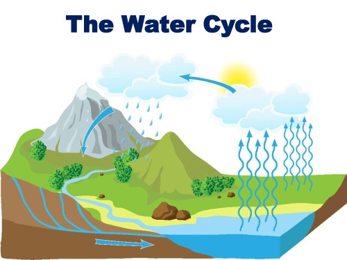 The Water Cycle | Quizizz