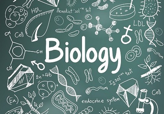 plant biology - Year 8 - Quizizz