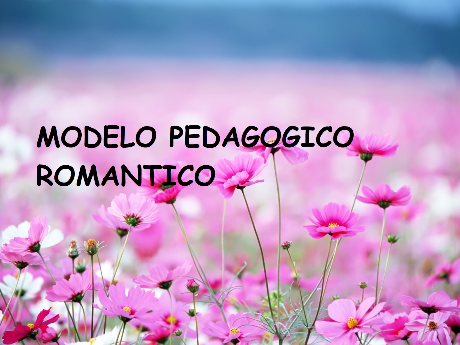 Modelo Pedagógico Romántico | Other - Quizizz