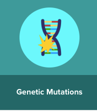 genetic mutation - Class 7 - Quizizz