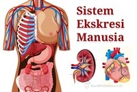 Mengevaluasi Ekspresi - Kelas 12 - Kuis