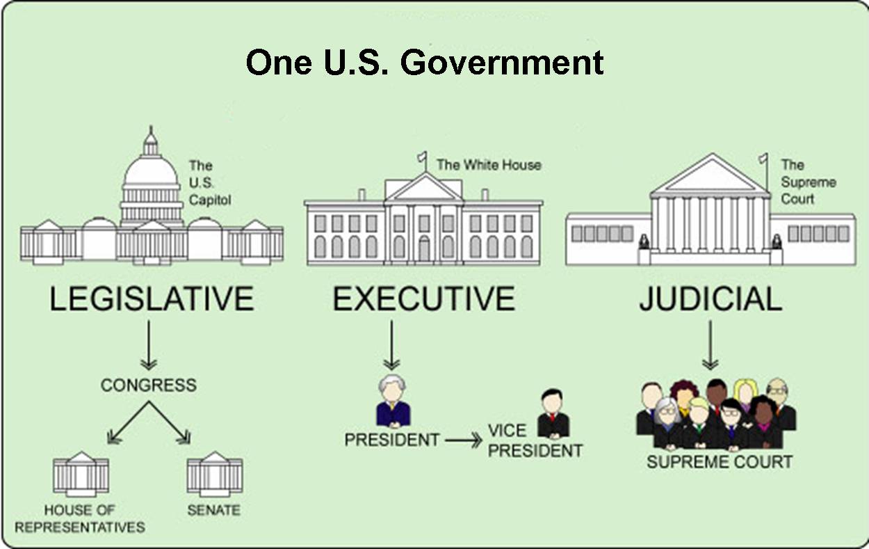 3-branches-of-government-social-studies-quiz-quizizz