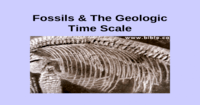 fossils - Class 9 - Quizizz