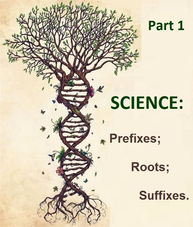 Determining Meaning Using Roots, Prefixes, and Suffixes - Grade 9 - Quizizz