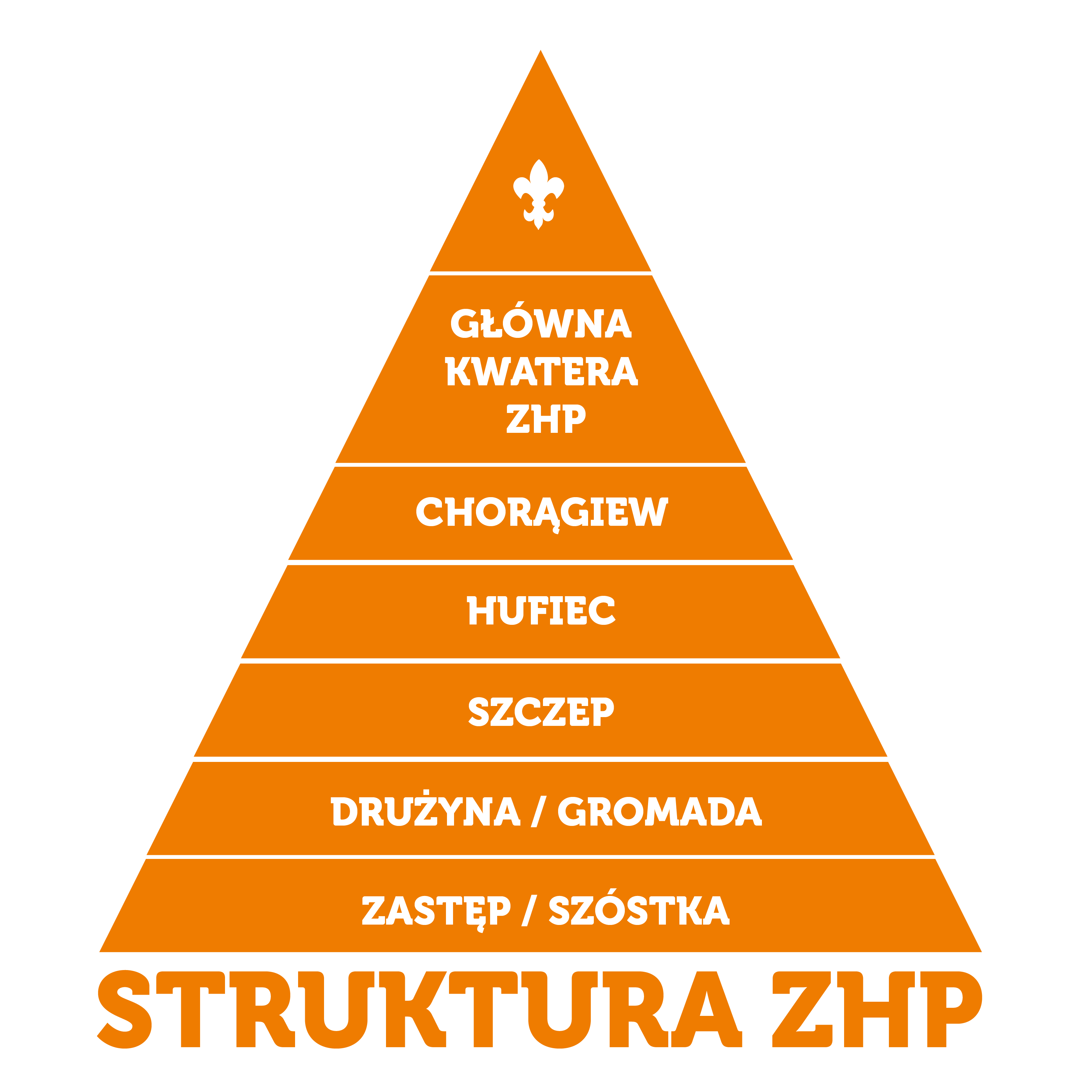 Identyfikacja głównej idei w literaturze faktu - Klasa 2 - Quiz