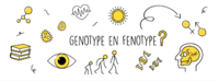 vocabulario de genética genotipo y fenotipo - Grado 5 - Quizizz