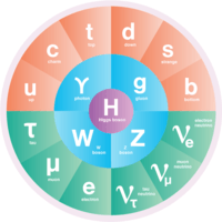 Particle Physics Student Quiz