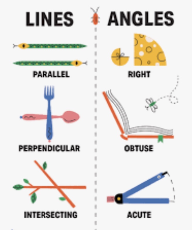 tangent lines - Year 4 - Quizizz