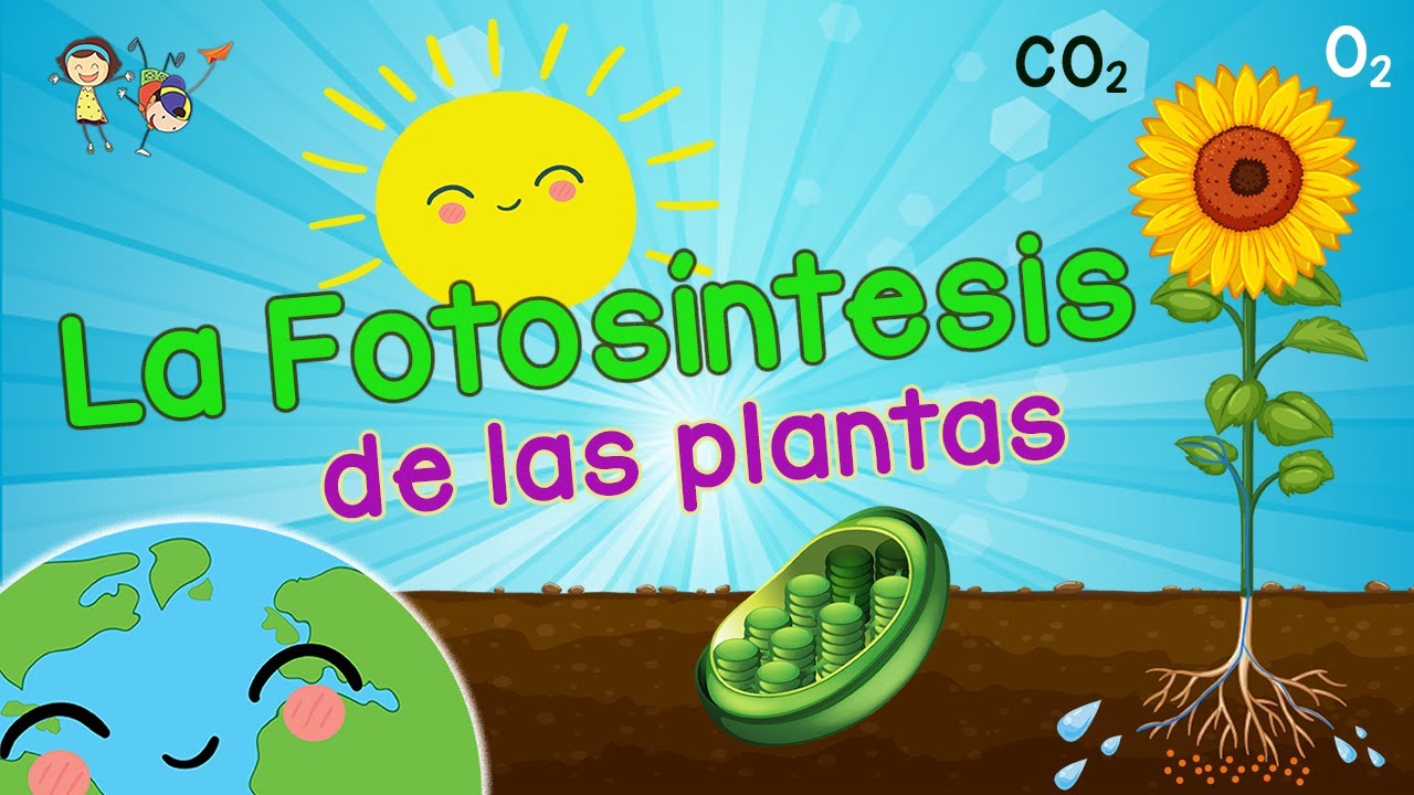fotosíntesis - Grado 11 - Quizizz