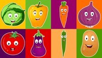 diagrama de células vegetales - Grado 1 - Quizizz