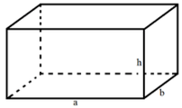 diện tích hình chữ nhật và hình bình hành - Lớp 5 - Quizizz