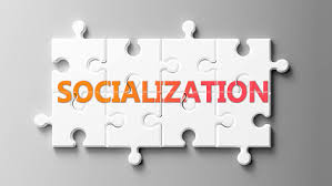 4.1 & 4.2 - American Attitudes and Socialization