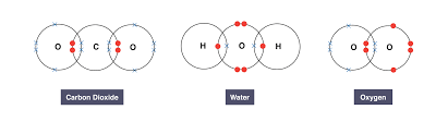 Covalent bonding | Other Quiz - Quizizz