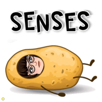 The 5 Senses - Year 7 - Quizizz