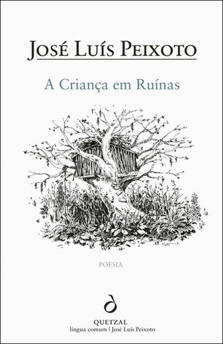 Poesia - Série 9 - Questionário