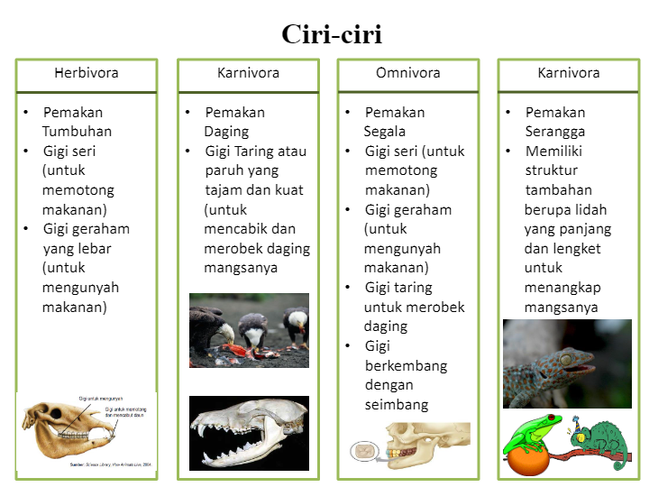 menyayangi dan menghargai alam sekitar