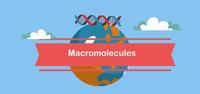 macromolecules - Grade 9 - Quizizz