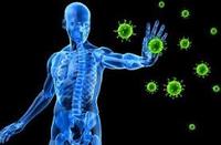 the immune system - Class 8 - Quizizz